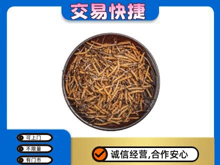 宾阳县礼品回收虫草.jpg